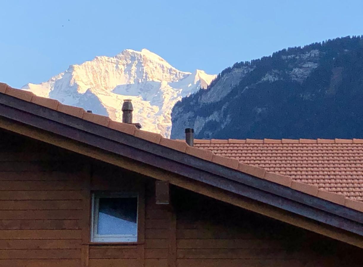 S&P Mountain View Apartment 1 Wilderswil Exteriér fotografie