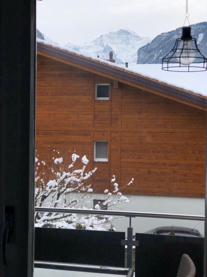 S&P Mountain View Apartment 1 Wilderswil Exteriér fotografie